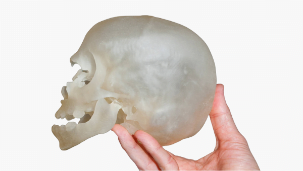 Mô hình giải phẫu hộp sọ được sản xuất bằng công nghệ in 3D