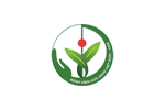 Logo-DD